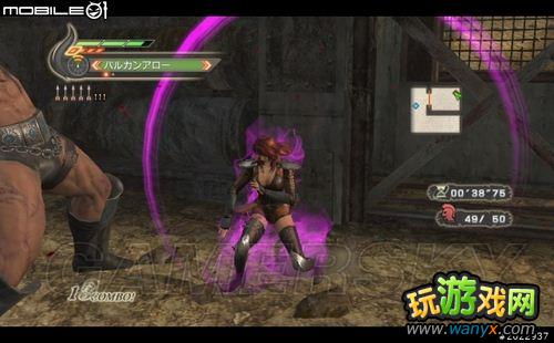 ���汱����˫��ͼ�Ľ���