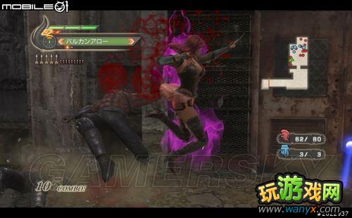 ���汱����˫��ͼ�Ľ���