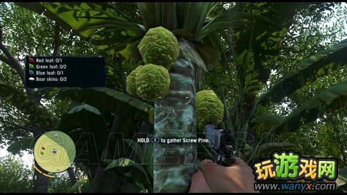 ���µ�����3����������