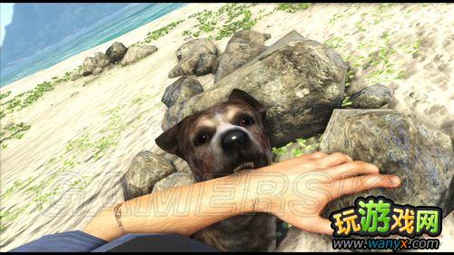 ���µ�����3����������