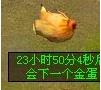 七雄争霸农场如何喂鸡_七雄争霸农场喂鸡技巧