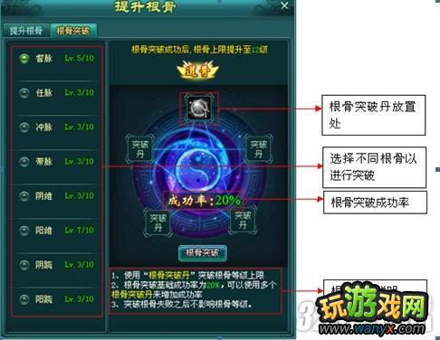 《神魔仙界2》根骨解析