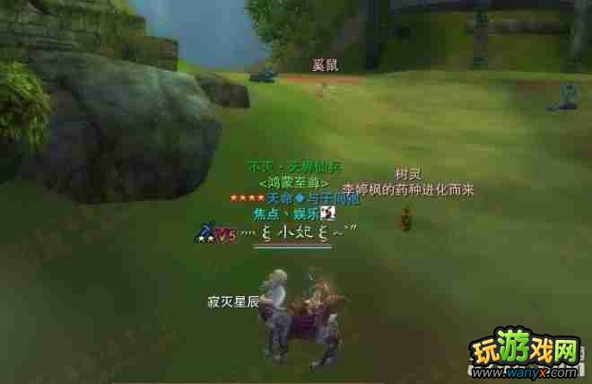 ������2������Ӫ49�׽���������