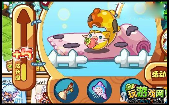 《洛克王国》玲珑猫如何得攻略