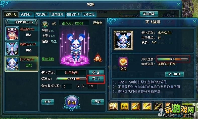 4399《大唐真龙2》宠物升级攻略