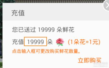 橙光游戏鲜花多少钱一朵_橙光游戏鲜花如何得