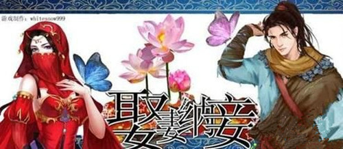 橙光游戏娶妻纳妾第二章攻略_娶妻纳妾如何玩