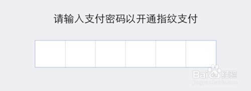 ΢���������ָ�ƣ�΢��Ǯ��ָ��֧����ô���ã�