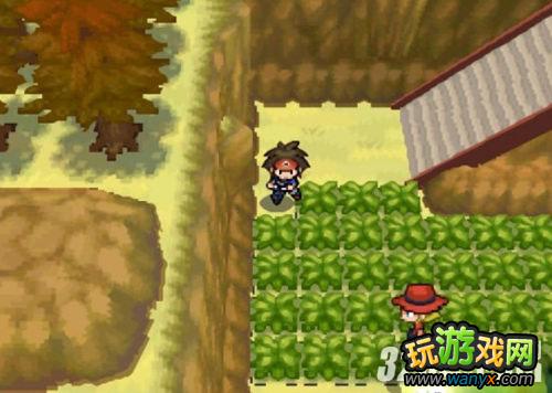 NDS���ڴ����ֺڰ�2������ط��ع���Ȧ����