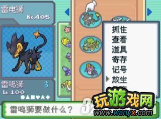 NDS���ڴ����ֺڰ�2�������������ܶ���⹥��