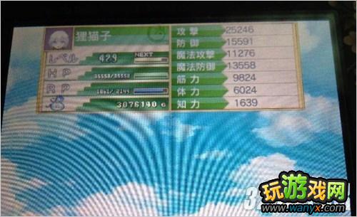 3DS�����Ĺ���4��һ��ȼ��Թ����湥��