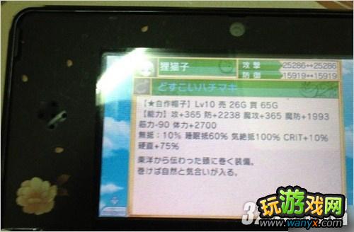 3DS�����Ĺ���4��һ��ȼ��Թ����湥��